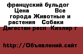 француский бульдог › Цена ­ 40 000 - Все города Животные и растения » Собаки   . Дагестан респ.,Кизляр г.